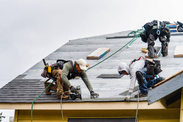 Professional Gutter Installation technician working in Moravia, IA